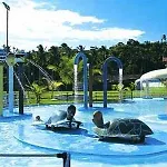 Golden Dolphin Hotel